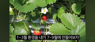 감15576님의 자유주제 · 자유게시판 작성글 사진