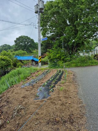 마늘16716님의 자유주제 · 자유게시판 작성글 사진