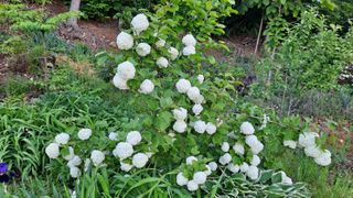 MSG0074님의 자유주제 · 자유게시판 작성글 사진