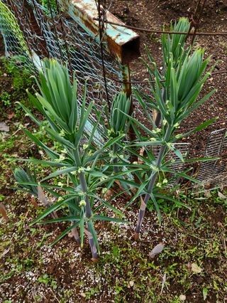 고추건조기부품판매님의 자유주제 · 자유게시판 작성글 사진