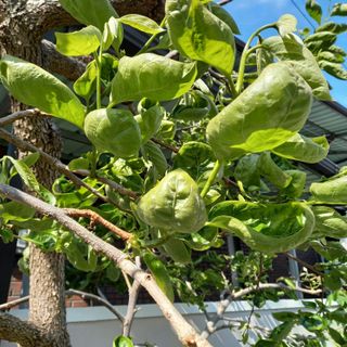 박철용 님의 자유주제 · 자유게시판 작성글 사진