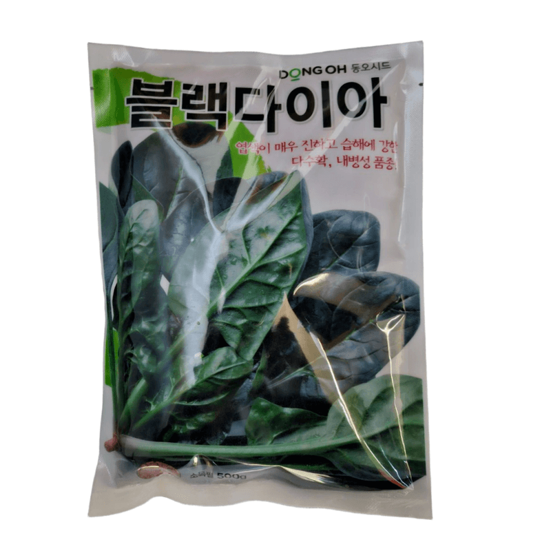장터 상품 [블랙다이아 500g 시금치 다수확 노균병 저항성 우수] 썸네일