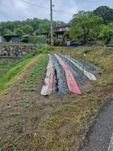 팜모닝 농사, 무엇이든 물어보세요!·참여글 게시글 이미지