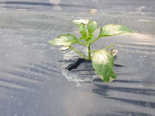겨울연가님의 자유주제 · 자유게시판 작성글 사진
