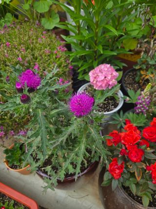 자연인님의 자유주제 · 자유게시판 작성글 사진