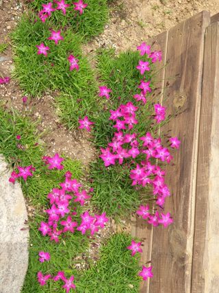 겨울연가님의 자유주제 · 자유게시판 작성글 사진