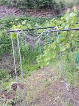 팜모닝 자유주제·자유게시판 게시글 이미지