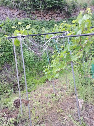 이은주(여성초보농민님의 자유주제 · 자유게시판 작성글 사진