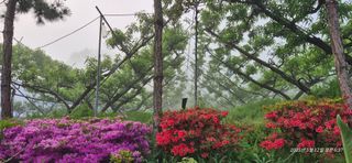 달맛햇복숭아농원님의 자유주제 · 사진전 작성글 사진