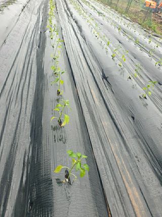겨울연가님의 자유주제 · 자유게시판 작성글 사진