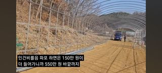 감15576님의 자유주제 · 자유게시판 작성글 사진