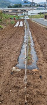 팜모닝 자유주제·자유게시판 게시글 이미지