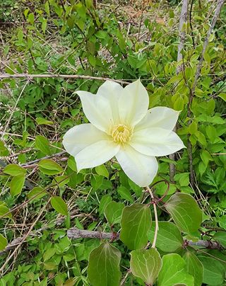 고추건조기부품판매님의 자유주제 · 자유게시판 작성글 사진