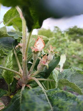초보텃밭님의 자유주제 · 자유게시판 작성글 사진