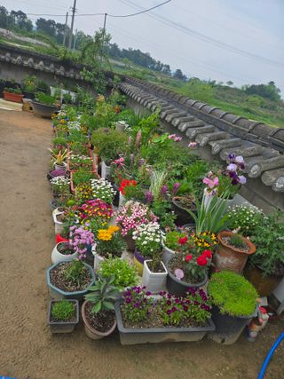 자연인님의 자유주제 · 자유게시판 작성글 사진