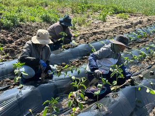 국중선님의 자유주제 · 자유게시판 작성글 사진