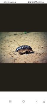 팜모닝 자유주제·자유게시판 게시글 이미지