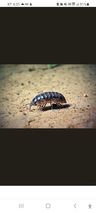 윤양현님의 자유주제 · 자유게시판 작성글 사진