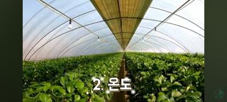 감15576님의 자유주제 · 자유게시판 작성글 사진