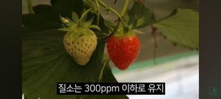 감15576님의 자유주제 · 자유게시판 작성글 사진