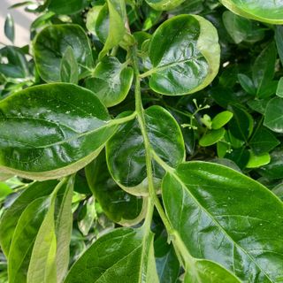 박철용 님의 자유주제 · 자유게시판 작성글 사진