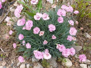 겨울연가님의 자유주제 · 자유게시판 작성글 사진