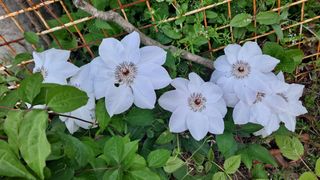 MSG0074님의 자유주제 · 자유게시판 작성글 사진