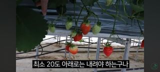 감15576님의 자유주제 · 자유게시판 작성글 사진