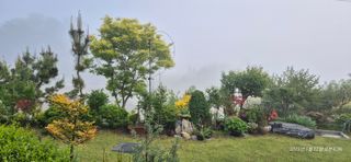 달맛햇복숭아농원님의 자유주제 · 사진전 작성글 사진