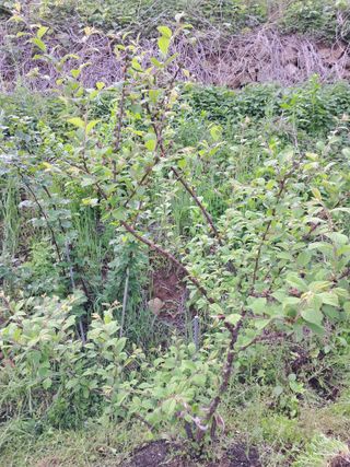 이은주(여성초보농민님의 자유주제 · 자유게시판 작성글 사진