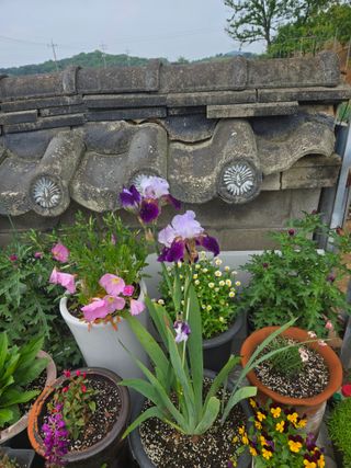 자연인님의 자유주제 · 자유게시판 작성글 사진