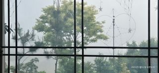 달맛햇복숭아농원님의 자유주제 · 사진전 작성글 사진