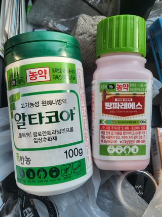 카리스님의 자유주제 · 자유게시판 작성글 사진