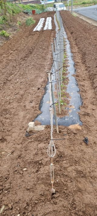 오리와백조님의 자유주제 · 자유게시판 작성글 사진