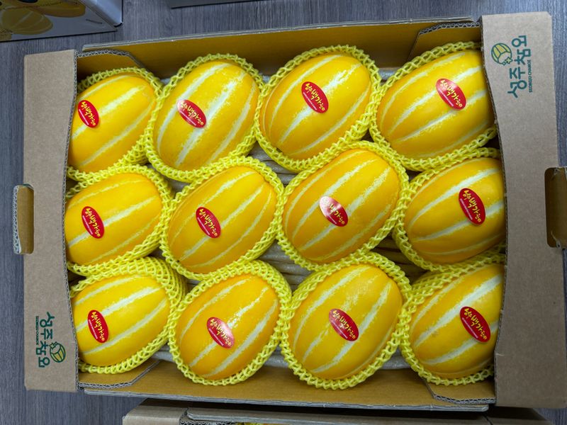 백만흠님의 장터 판매 상품 [성주백가참외 3kg 가정용] 첨부 사진