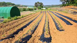 이우섭님의 자유주제 · 자유게시판 작성글 사진
