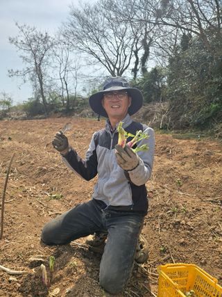 새싹농원님의 자유주제 · 자유게시판 작성글 사진