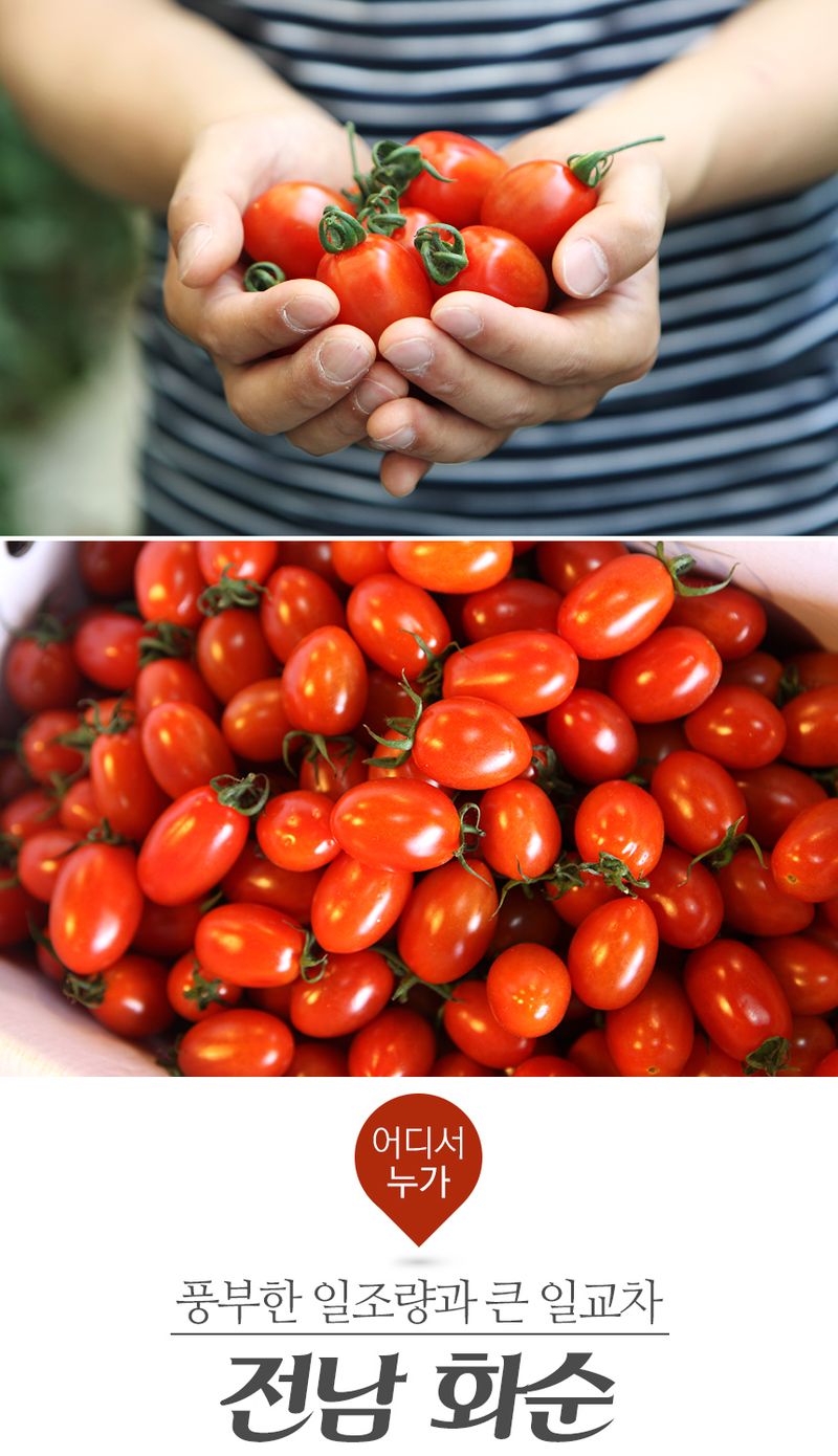 팜모닝 상점님의 장터 판매 상품 [🍅국내산 무농약 대추방울토마토 특 1.5kg(750g * 2개)🍅] 첨부 사진