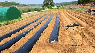 이우섭님의 자유주제 · 자유게시판 작성글 사진