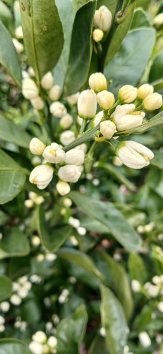 참깨8508님의 자유주제 · 칭찬해요 작성글 사진