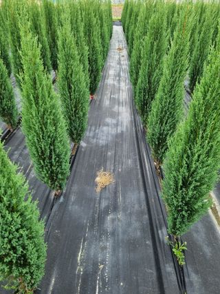 연산나무농장님의 자유주제 · 자유게시판 작성글 사진