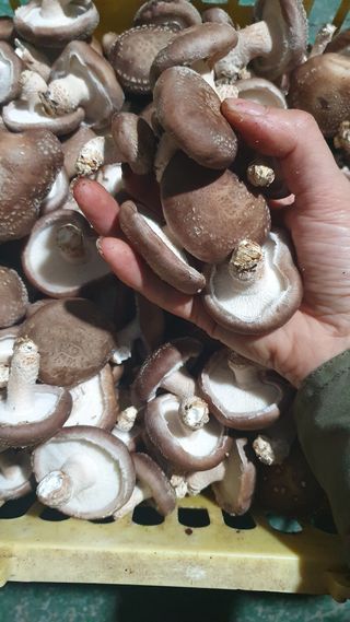 장계령님의 자유주제 · 자유게시판 작성글 사진