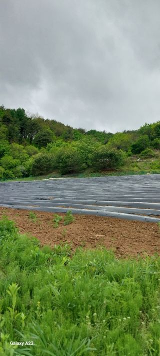 이일철 (조이산골)님의 자유주제 · 자유게시판 작성글 사진