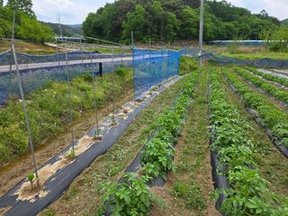 희상님의 자유주제 · 자유게시판 작성글 사진