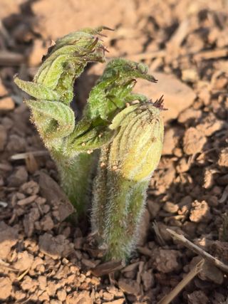 새싹농원님의 자유주제 · 자유게시판 작성글 사진