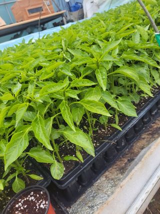 김종옥님의 자유주제 · 자유게시판 작성글 사진