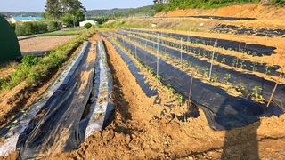 이우섭님의 자유주제 · 자유게시판 작성글 사진