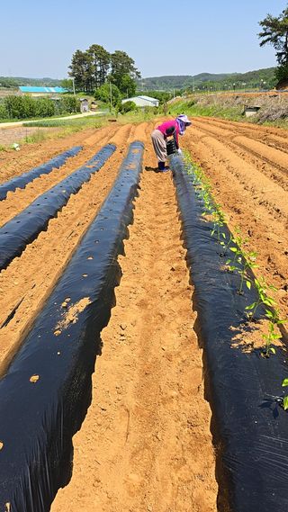 이우섭님의 자유주제 · 자유게시판 작성글 사진