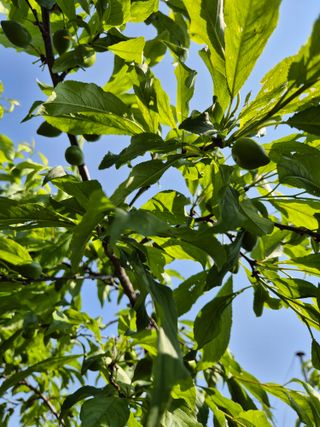 천운산님의 자유주제 · 자유게시판 작성글 사진