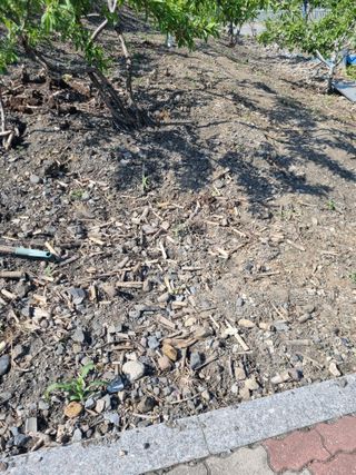 김용대님의 자유주제 · 자유게시판 작성글 사진